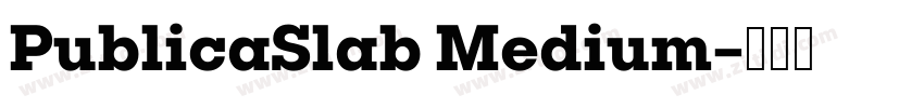 PublicaSlab Medium字体转换